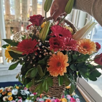 Gerbera Celebration Basket