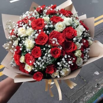 Red & White Celebration Roses