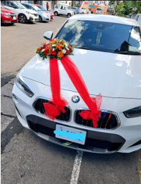 Romantic Ribbon Car Decoration