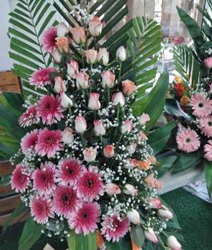 Pink Gerbera Triangular Bouquet