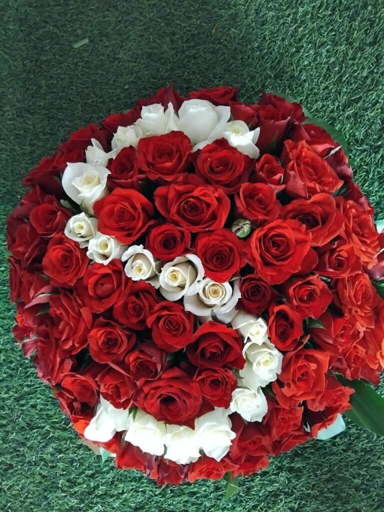 Kevin R. – Curepipe